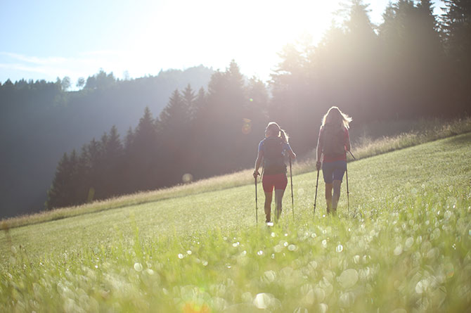 Nachhaltigkeit in unseren Werten bei SCROC